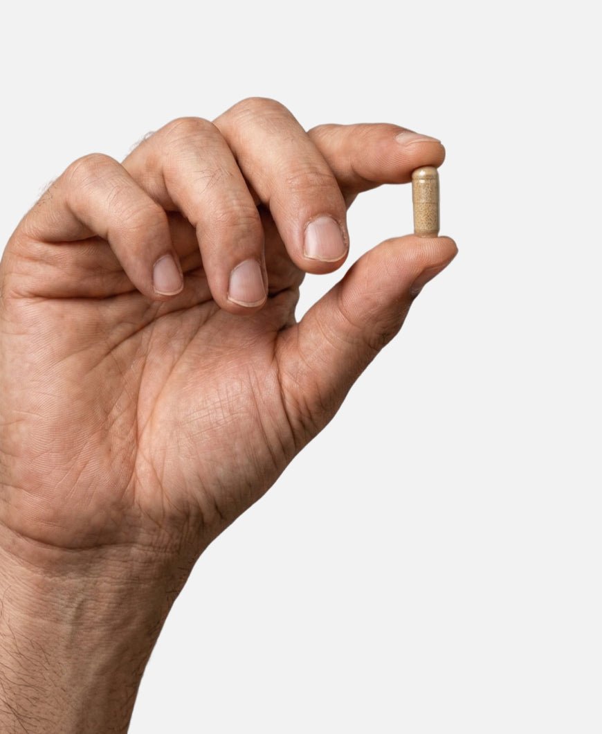 Fill it men hair complex - Fill it Vitamins